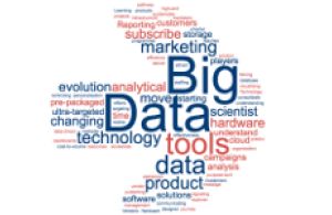 Big Data in Digital Publishing: Issues and Emerging Practices